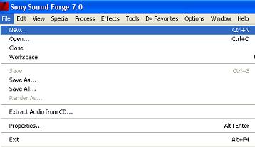 ��������� Sound Forge � �������� File>New